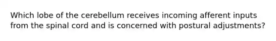 Which lobe of the cerebellum receives incoming afferent inputs from the spinal cord and is concerned with postural adjustments?