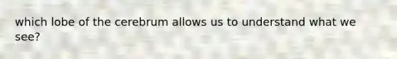 which lobe of the cerebrum allows us to understand what we see?