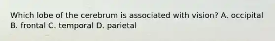 Which lobe of the cerebrum is associated with vision? A. occipital B. frontal C. temporal D. parietal