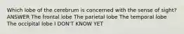 Which lobe of the cerebrum is concerned with the sense of sight? ANSWER The frontal lobe The parietal lobe The temporal lobe The occipital lobe I DON'T KNOW YET