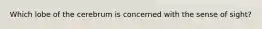 Which lobe of the cerebrum is concerned with the sense of sight?