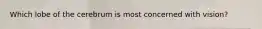 Which lobe of the cerebrum is most concerned with vision?