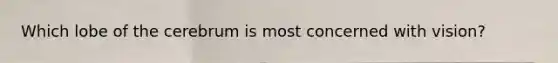 Which lobe of the cerebrum is most concerned with vision?