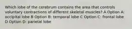 Which lobe of the cerebrum contains the area that controls voluntary contractions of different skeletal muscles? A Option A: occipital lobe B Option B: temporal lobe C Option C: frontal lobe D Option D: parietal lobe