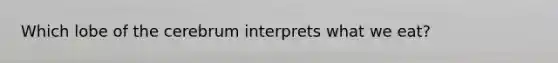 Which lobe of the cerebrum interprets what we eat?