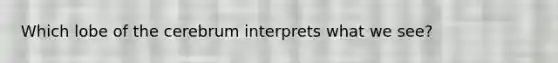 Which lobe of the cerebrum interprets what we see?