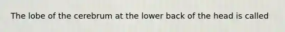 The lobe of the cerebrum at the lower back of the head is called