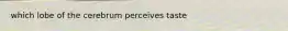 which lobe of the cerebrum perceives taste