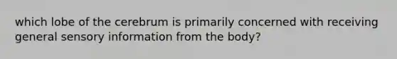 which lobe of the cerebrum is primarily concerned with receiving general sensory information from the body?