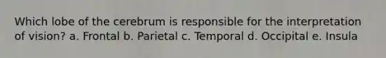 Which lobe of the cerebrum is responsible for the interpretation of vision? a. Frontal b. Parietal c. Temporal d. Occipital e. Insula