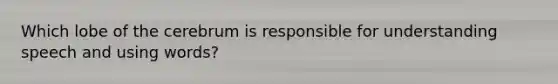 Which lobe of the cerebrum is responsible for understanding speech and using words?