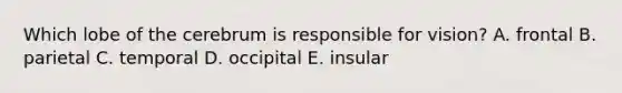 Which lobe of the cerebrum is responsible for vision? A. frontal B. parietal C. temporal D. occipital E. insular