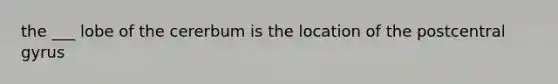 the ___ lobe of the cererbum is the location of the postcentral gyrus