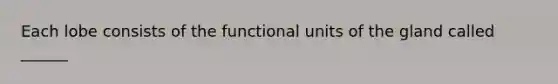 Each lobe consists of the functional units of the gland called ______