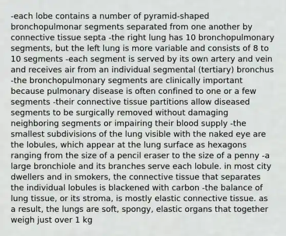 -each lobe contains a number of pyramid-shaped bronchopulmonar segments separated from one another by <a href='https://www.questionai.com/knowledge/kYDr0DHyc8-connective-tissue' class='anchor-knowledge'>connective tissue</a> septa -the right lung has 10 bronchopulmonary segments, but the left lung is more variable and consists of 8 to 10 segments -each segment is served by its own artery and vein and receives air from an individual segmental (tertiary) bronchus -the bronchopulmonary segments are clinically important because pulmonary disease is often confined to one or a few segments -their connective tissue partitions allow diseased segments to be surgically removed without damaging neighboring segments or impairing their blood supply -the smallest subdivisions of the lung visible with the naked eye are the lobules, which appear at the lung surface as hexagons ranging from the size of a pencil eraser to the size of a penny -a large bronchiole and its branches serve each lobule. in most city dwellers and in smokers, the connective tissue that separates the individual lobules is blackened with carbon -the balance of lung tissue, or its stroma, is mostly elastic connective tissue. as a result, the lungs are soft, spongy, elastic organs that together weigh just over 1 kg