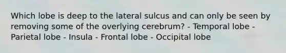 Which lobe is deep to the lateral sulcus and can only be seen by removing some of the overlying cerebrum? - Temporal lobe - Parietal lobe - Insula - Frontal lobe - Occipital lobe