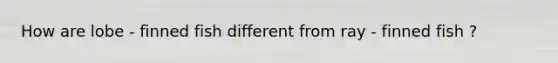 How are lobe - finned fish different from ray - finned fish ?