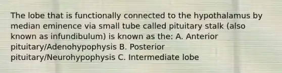 The lobe that is functionally connected to the hypothalamus by median eminence via small tube called pituitary stalk (also known as infundibulum) is known as the: A. Anterior pituitary/Adenohypophysis B. Posterior pituitary/Neurohypophysis C. Intermediate lobe