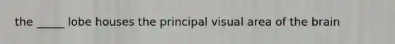 the _____ lobe houses the principal visual area of the brain