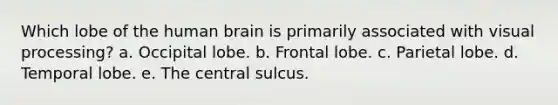 Which lobe of the human brain is primarily associated with visual processing? a. Occipital lobe. b. Frontal lobe. c. Parietal lobe. d. Temporal lobe. e. The central sulcus.