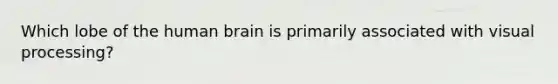 Which lobe of the human brain is primarily associated with visual processing?