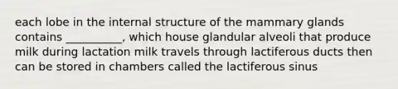 each lobe in the internal structure of the mammary glands contains __________, which house glandular alveoli that produce milk during lactation milk travels through lactiferous ducts then can be stored in chambers called the lactiferous sinus