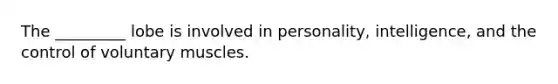 The _________ lobe is involved in personality, intelligence, and the control of voluntary muscles.