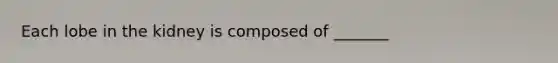 Each lobe in the kidney is composed of _______
