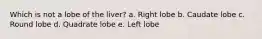 Which is not a lobe of the liver? a. Right lobe b. Caudate lobe c. Round lobe d. Quadrate lobe e. Left lobe