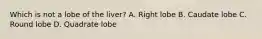 Which is not a lobe of the liver? A. Right lobe B. Caudate lobe C. Round lobe D. Quadrate lobe