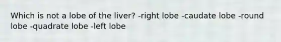 Which is not a lobe of the liver? -right lobe -caudate lobe -round lobe -quadrate lobe -left lobe