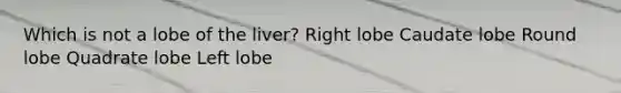 Which is not a lobe of the liver? Right lobe Caudate lobe Round lobe Quadrate lobe Left lobe