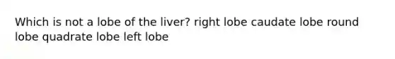 Which is not a lobe of the liver? right lobe caudate lobe round lobe quadrate lobe left lobe