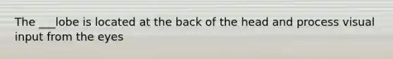 The ___lobe is located at the back of the head and process visual input from the eyes