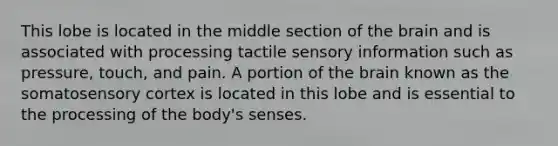 This lobe is located in the middle section of the brain and is associated with processing tactile sensory information such as pressure, touch, and pain. A portion of the brain known as the somatosensory cortex is located in this lobe and is essential to the processing of the body's senses.