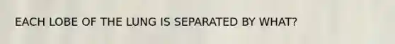 EACH LOBE OF THE LUNG IS SEPARATED BY WHAT?