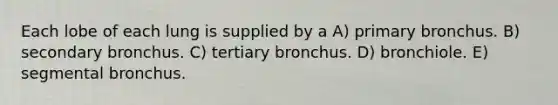 Each lobe of each lung is supplied by a A) primary bronchus. B) secondary bronchus. C) tertiary bronchus. D) bronchiole. E) segmental bronchus.