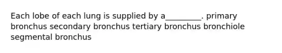 Each lobe of each lung is supplied by a_________. primary bronchus secondary bronchus tertiary bronchus bronchiole segmental bronchus