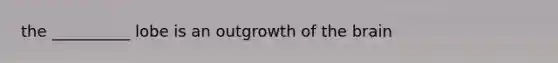 the __________ lobe is an outgrowth of the brain