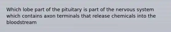 Which lobe part of the pituitary is part of the nervous system which contains axon terminals that release chemicals into the bloodstream