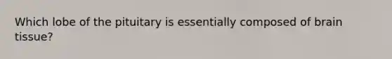 Which lobe of the pituitary is essentially composed of brain tissue?