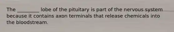 The _________ lobe of the pituitary is part of the nervous system because it contains axon terminals that release chemicals into the bloodstream.