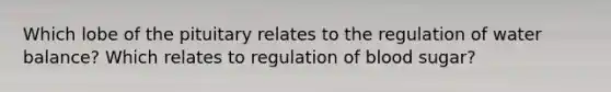 Which lobe of the pituitary relates to the regulation of water balance? Which relates to regulation of blood sugar?