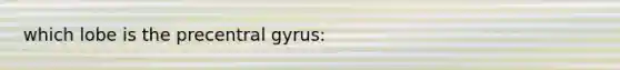 which lobe is the precentral gyrus: