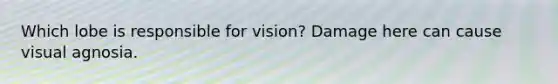 Which lobe is responsible for vision? Damage here can cause visual agnosia.