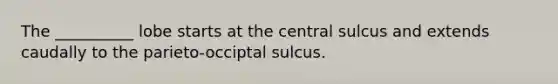 The __________ lobe starts at the central sulcus and extends caudally to the parieto-occiptal sulcus.