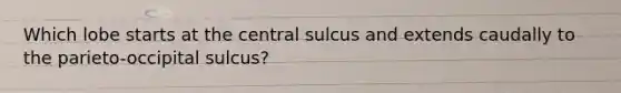 Which lobe starts at the central sulcus and extends caudally to the parieto-occipital sulcus?