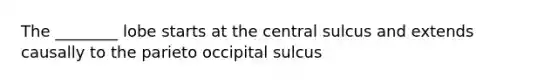 The ________ lobe starts at the central sulcus and extends causally to the parieto occipital sulcus