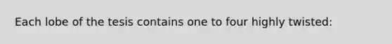 Each lobe of the tesis contains one to four highly twisted: