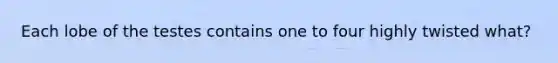 Each lobe of the testes contains one to four highly twisted what?